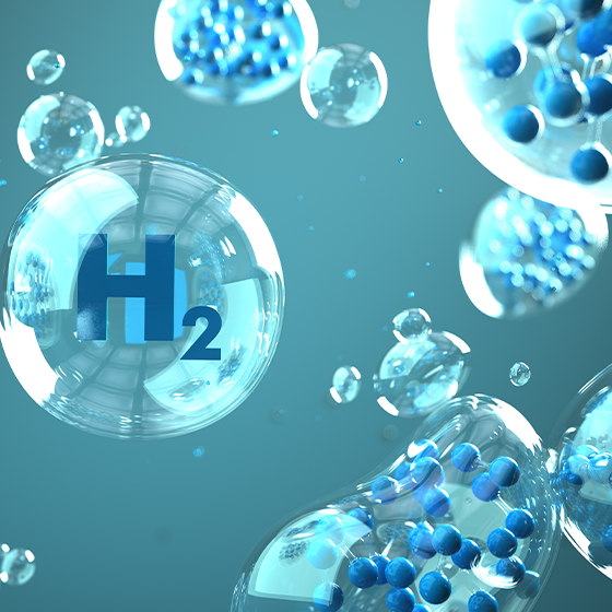 Bildung und Forschung H2